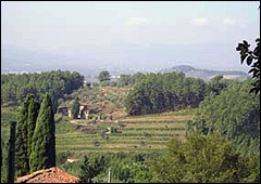 Montecarlo Lucca Vista